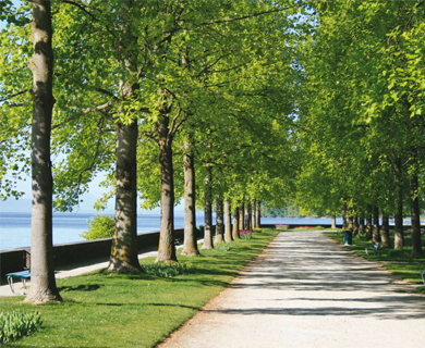 Morges